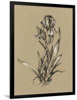 Botanical Sketch Black and White VI-Ethan Harper-Framed Art Print