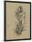 Botanical Sketch Black and White VI-Ethan Harper-Framed Art Print