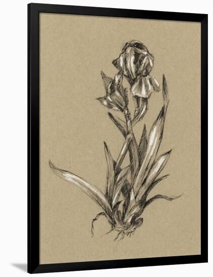 Botanical Sketch Black and White VI-Ethan Harper-Framed Art Print