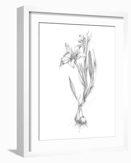 Botanical Sketch I-Ethan Harper-Framed Art Print