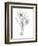 Botanical Sketch III-Ethan Harper-Framed Art Print