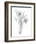 Botanical Sketch III-Ethan Harper-Framed Art Print