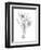 Botanical Sketch III-Ethan Harper-Framed Art Print