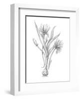 Botanical Sketch III-Ethan Harper-Framed Art Print