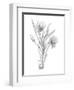 Botanical Sketch III-Ethan Harper-Framed Art Print