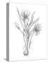 Botanical Sketch III-Ethan Harper-Stretched Canvas
