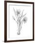 Botanical Sketch III-Ethan Harper-Framed Art Print