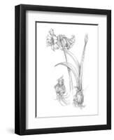 Botanical Sketch IV-Ethan Harper-Framed Art Print