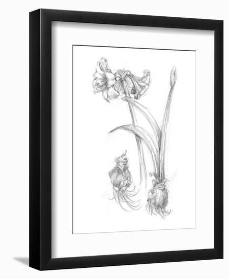 Botanical Sketch IV-Ethan Harper-Framed Art Print