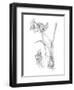 Botanical Sketch IV-Ethan Harper-Framed Art Print