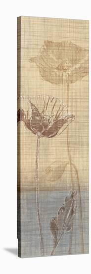 Botanical Sketchbook I-Tandi Venter-Stretched Canvas