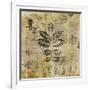 Botanical Sketchbook II-null-Framed Giclee Print