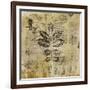 Botanical Sketchbook II-null-Framed Giclee Print