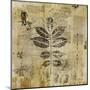 Botanical Sketchbook II-null-Mounted Giclee Print