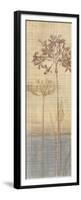 Botanical Sketchbook II-Tandi Venter-Framed Premium Giclee Print
