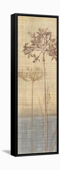 Botanical Sketchbook II-Tandi Venter-Framed Stretched Canvas