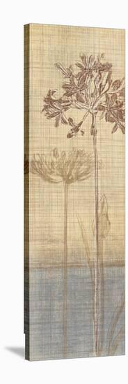 Botanical Sketchbook II-Tandi Venter-Stretched Canvas