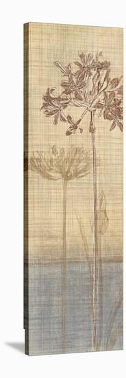 Botanical Sketchbook II-Tandi Venter-Stretched Canvas