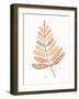 Botanical Sketches II Spice-Anne Tavoletti-Framed Art Print