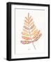 Botanical Sketches II Spice-Anne Tavoletti-Framed Art Print