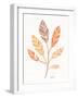 Botanical Sketches III Spice-Anne Tavoletti-Framed Art Print