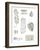 Botanical Studies-Sandra Jacobs-Framed Giclee Print