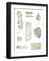 Botanical Studies-Sandra Jacobs-Framed Giclee Print