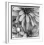 Botanical Study 10-Stacy Bass-Framed Giclee Print