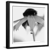 Botanical Study 11-Stacy Bass-Framed Giclee Print