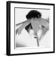 Botanical Study 11-Stacy Bass-Framed Giclee Print