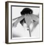 Botanical Study 11-Stacy Bass-Framed Giclee Print