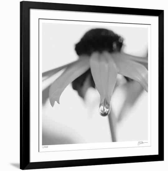 Botanical Study 11-Stacy Bass-Framed Limited Edition