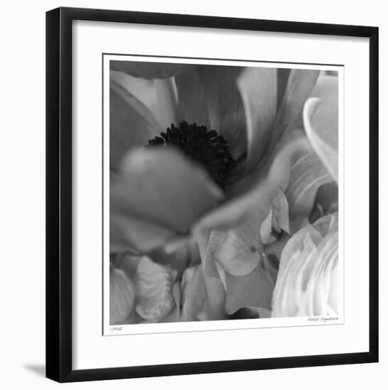 Botanical Study 12-Stacy Bass-Framed Giclee Print