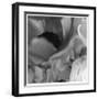 Botanical Study 12-Stacy Bass-Framed Giclee Print