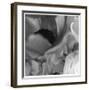 Botanical Study 12-Stacy Bass-Framed Giclee Print