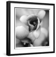 Botanical Study 14-Stacy Bass-Framed Giclee Print