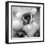 Botanical Study 14-Stacy Bass-Framed Giclee Print