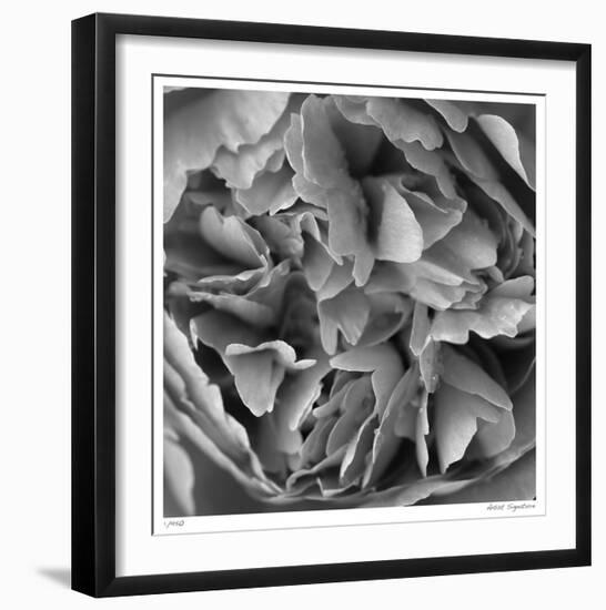 Botanical Study 15-Stacy Bass-Framed Giclee Print