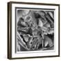 Botanical Study 15-Stacy Bass-Framed Giclee Print