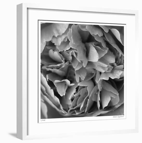 Botanical Study 15-Stacy Bass-Framed Giclee Print