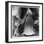 Botanical Study 18-Stacy Bass-Framed Giclee Print