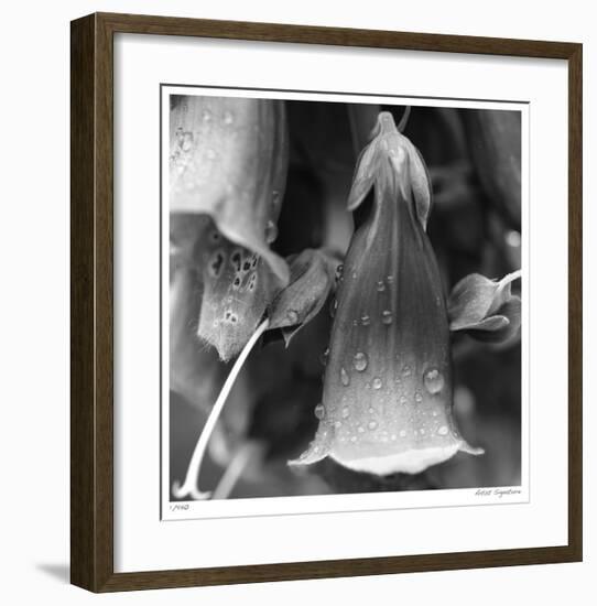 Botanical Study 18-Stacy Bass-Framed Giclee Print