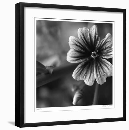 Botanical Study 19-Stacy Bass-Framed Giclee Print