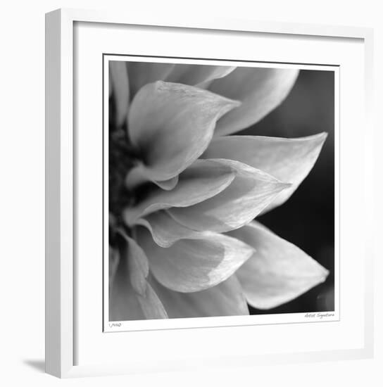 Botanical Study 1-Stacy Bass-Framed Giclee Print