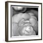 Botanical Study 20-Stacy Bass-Framed Giclee Print