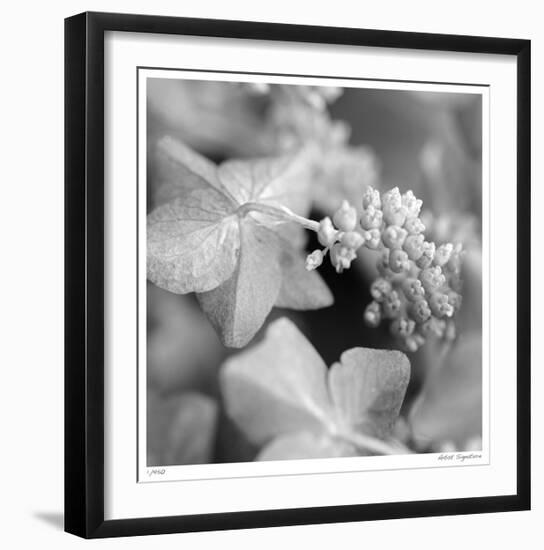 Botanical Study 2-Stacy Bass-Framed Giclee Print