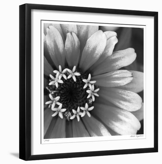 Botanical Study 3-Stacy Bass-Framed Giclee Print