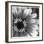 Botanical Study 3-Stacy Bass-Framed Giclee Print