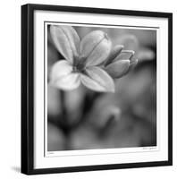 Botanical Study 4-Stacy Bass-Framed Giclee Print