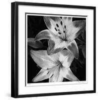 Botanical Study 5-Stacy Bass-Framed Giclee Print